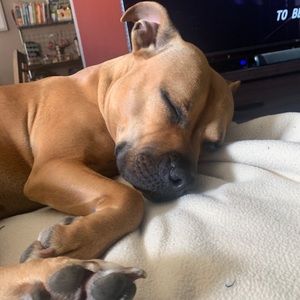 Meet your Posher, Brett